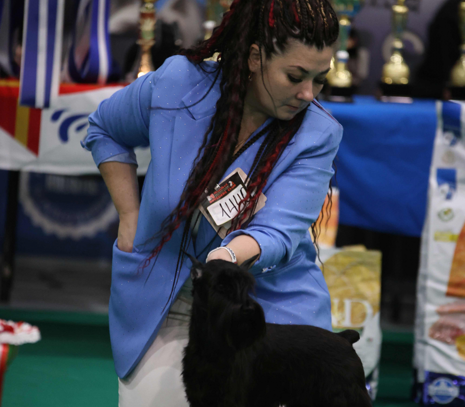 kubok mera180