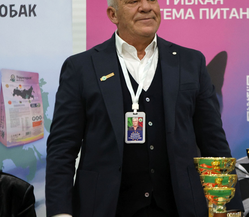 kubok mira198