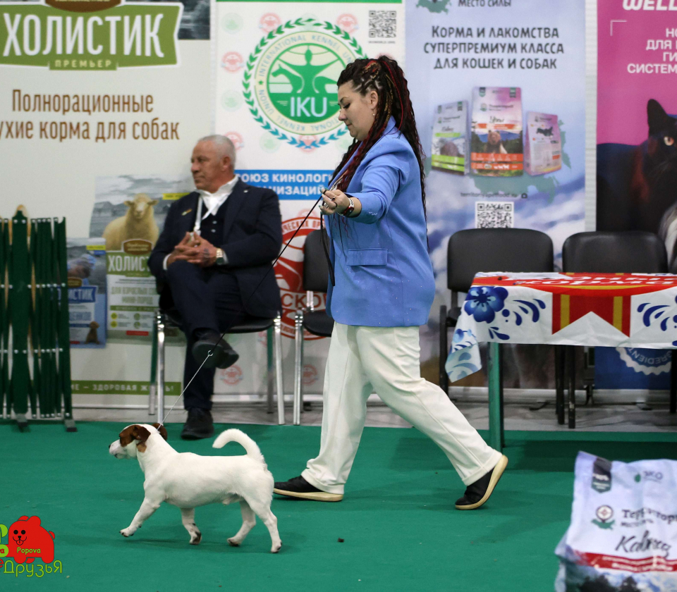kubok mira288